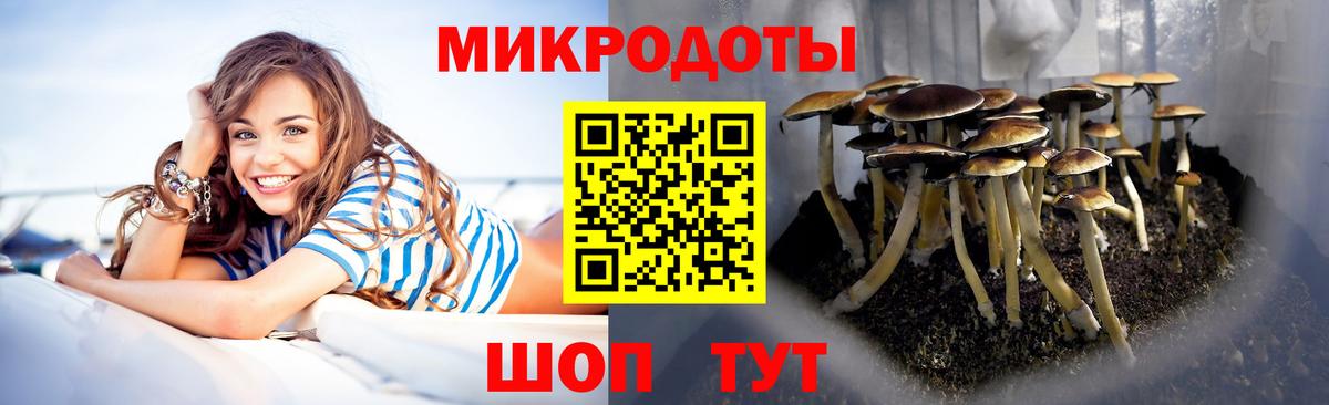 продажа наркотиков  Псилоцибиновые грибы мухоморы  Вход с VPN  Благовещенск 